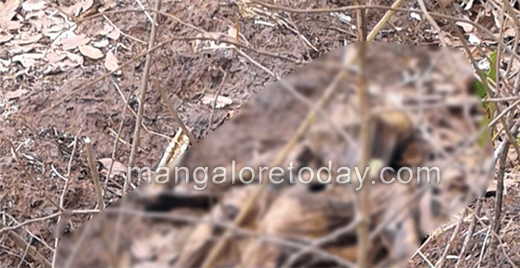 body decompose 27 mar